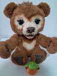 Cubby, ursinho curioso