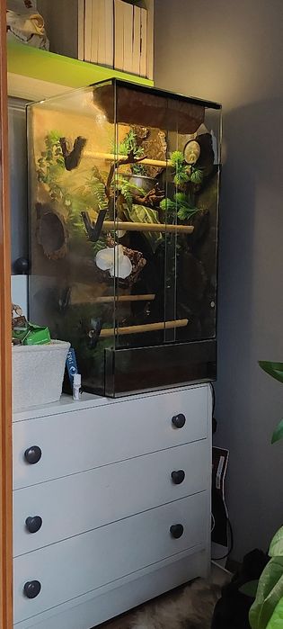 Terrarium pionowe wąż gekon jaszczurka 40x40x80