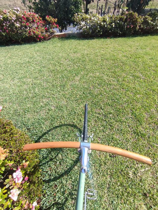 Bicicleta singlespeed