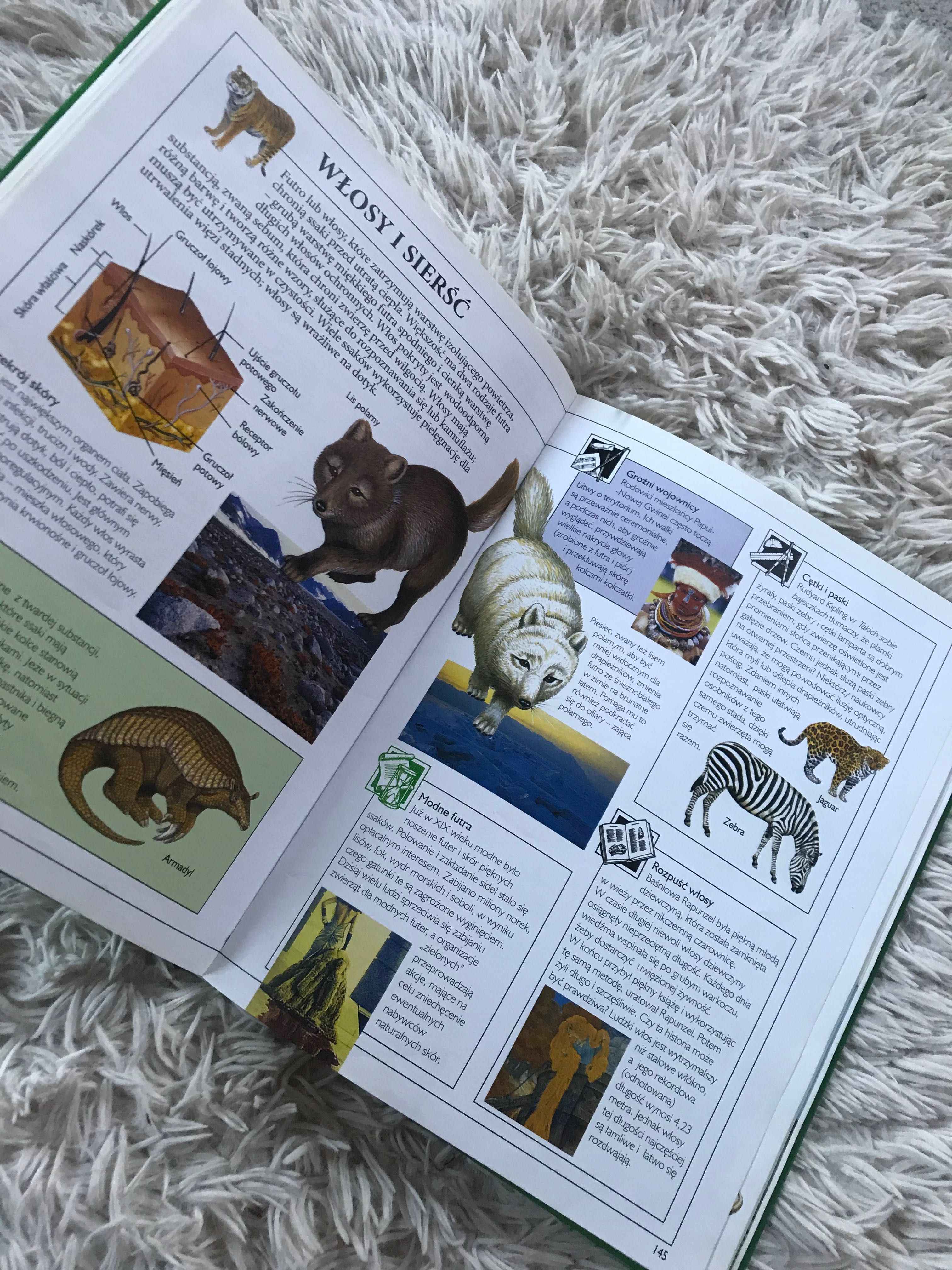 Książka szkolna encyklopedia przyrody