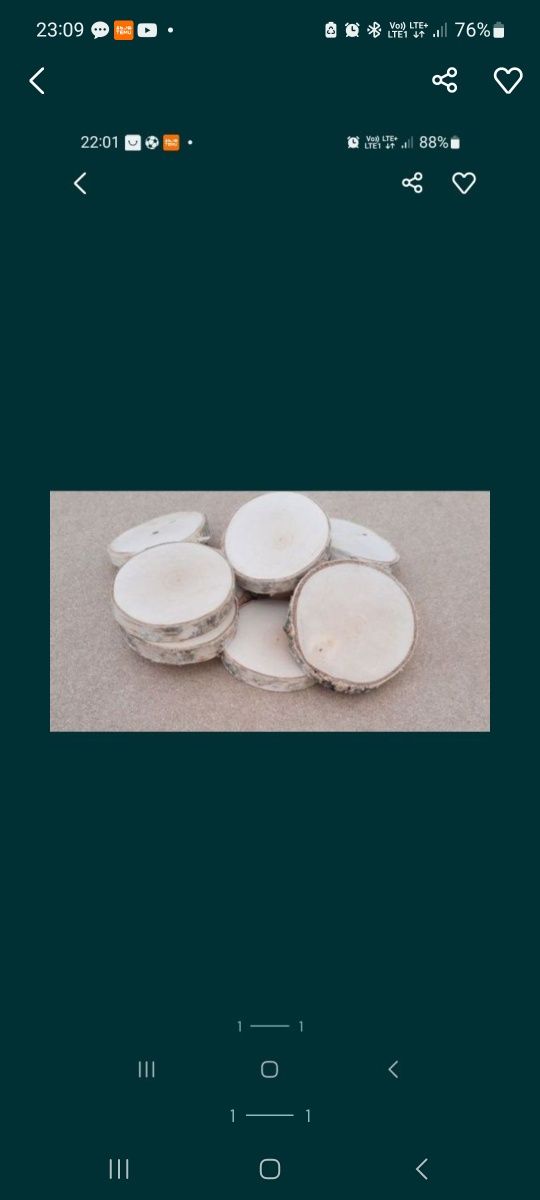 Plastry drewna brzozowego 23, 17, 15 cm.