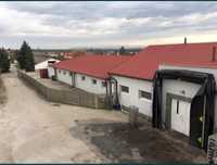 Ubojnia drobiu uds