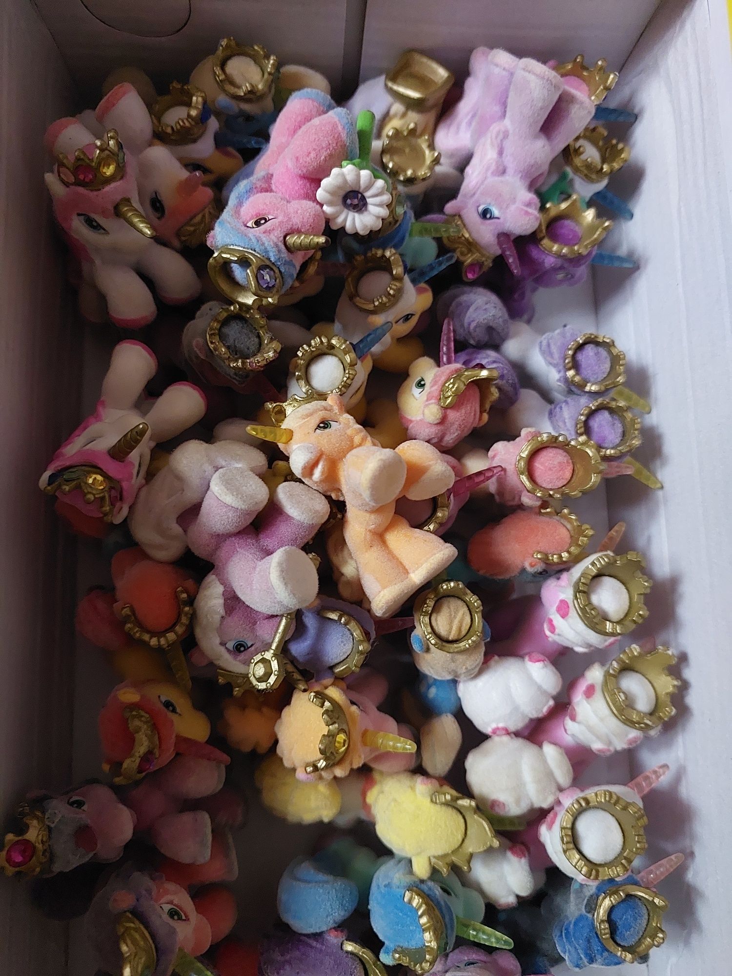 Поні філлі, pony filly