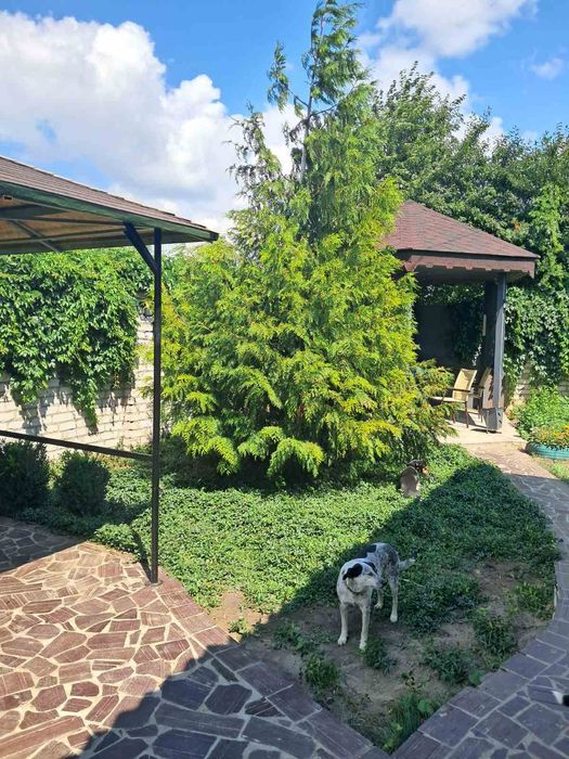 Житло подобово з усіма умовами