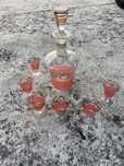 Conjunto de garrafa e 6 copos