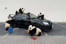 Subaru Impreza JDM, Spec C, Zakuty silnik, kompleksowa odbudowa