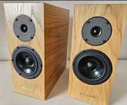 Pylon Audio Diamond Monitor 15
