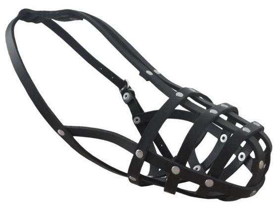 Kaganiec skórzany dla psa wielkości suki rottweilera Chaba Rozmiar R1