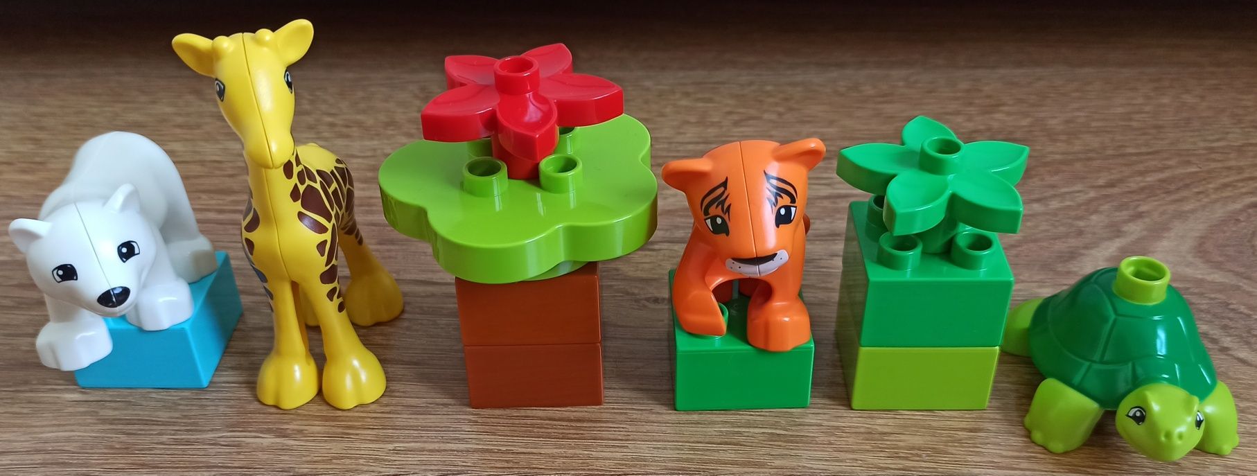 LEGO DUPLO 10801 zwierzątka żyrafa tygrys miś polarny żółw klocki 2+