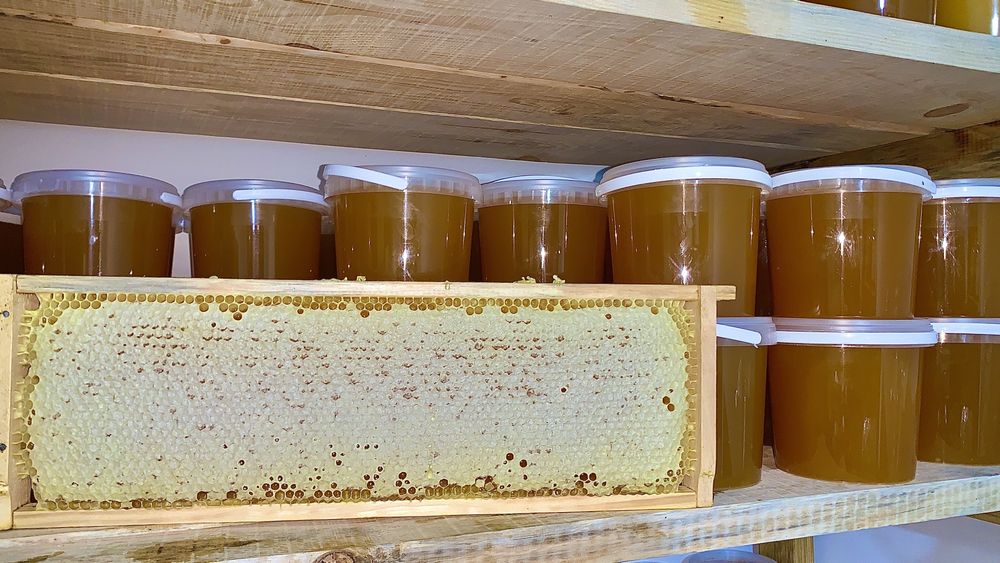 Продам Мед, соти, з власної лісової пасіки, Мёд, соты, медовий напій