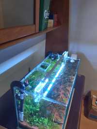 Iluminação led para aquário 50-65 cm