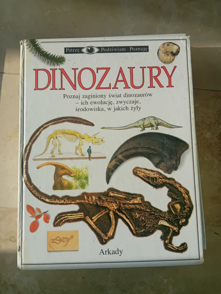 Patrzę podziwiam poznaję Dinozaury