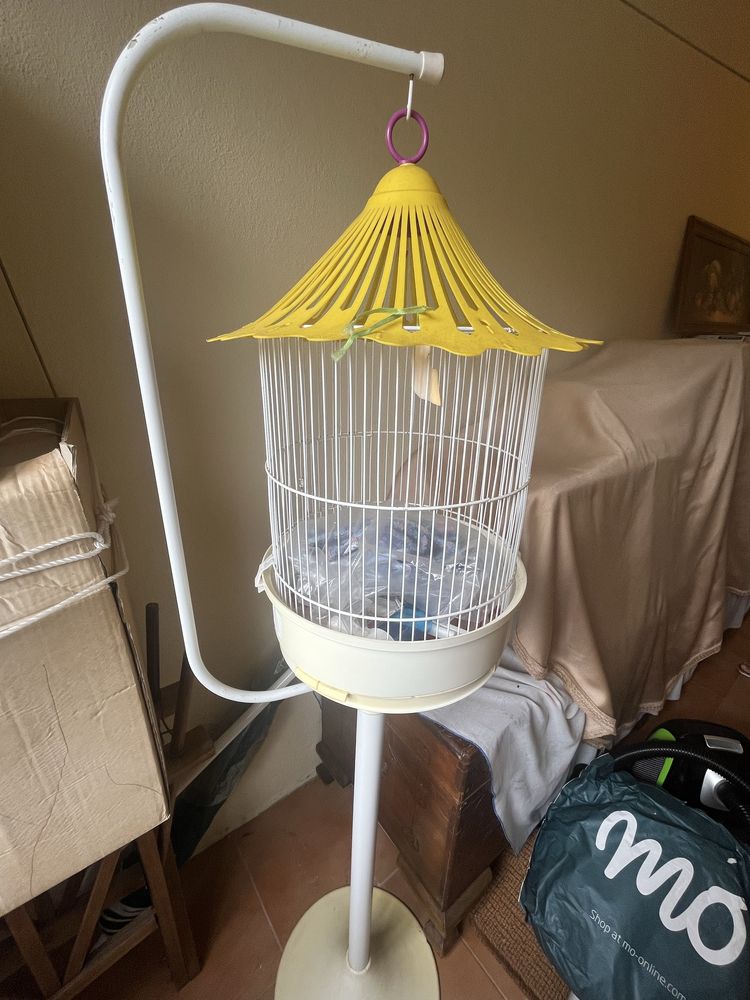 Gaiola  para passaros.