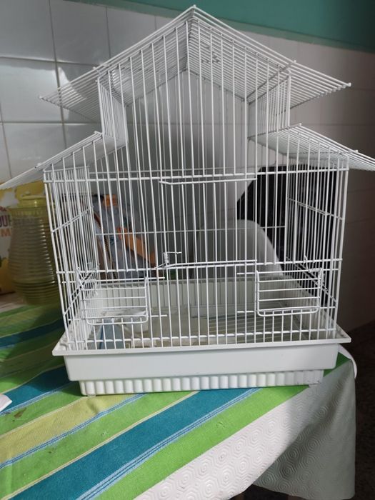 Gaiola para pássaros