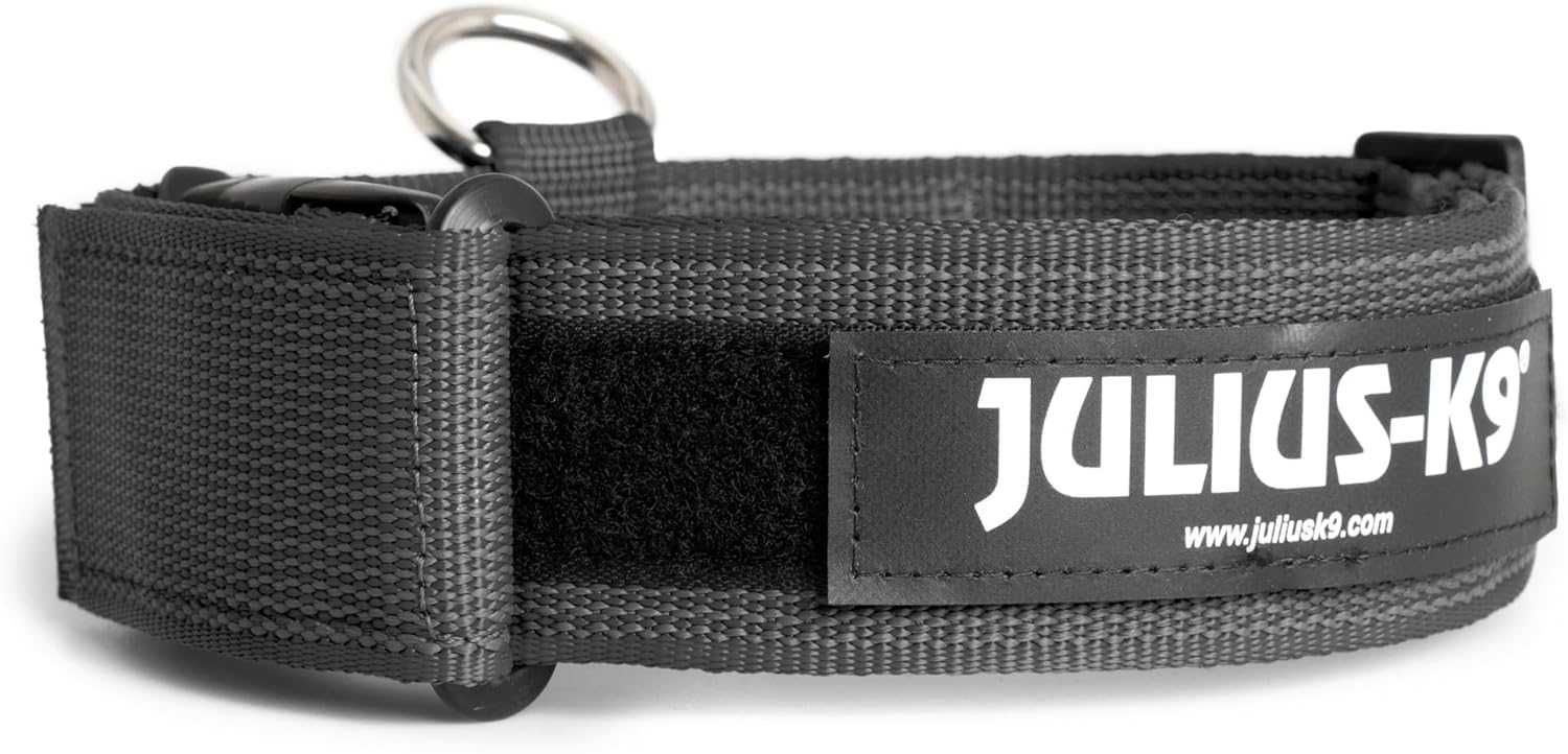 Julius-K9 obroża z uchwytem 50 mm, 49–70 cm, czarno-szara + gratis