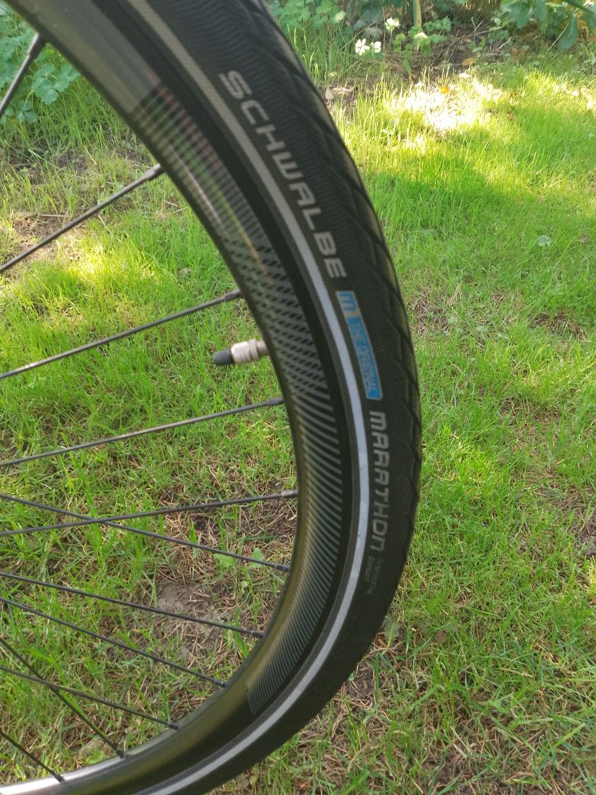 Focus Planet koła 28" Rama M Ham Tarcz Hyd Pasek Treking Ładny