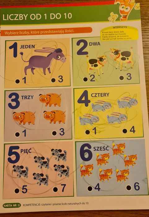 Marcheweczka ABC słowa, zdania + mówiąca i świecąca marchewka + gratis