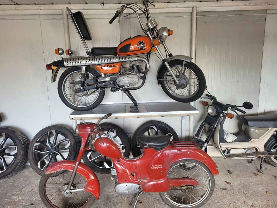 Rama Ryś żak nie wsk shl komar