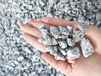 Grys granitowy strzegomski biały kropki kamień naturalny dalmatyńczyk