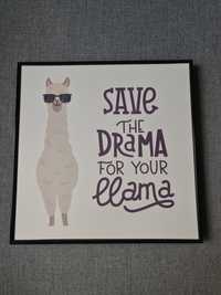 Obraz Save the drama for your lama