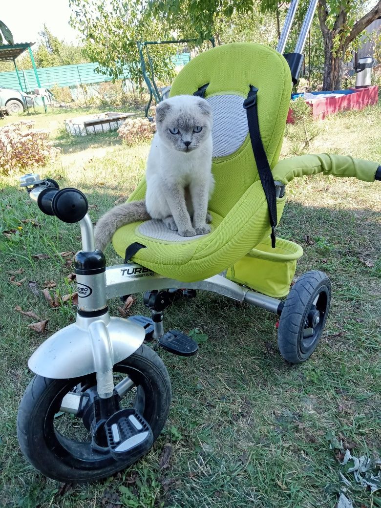 Turbo trike запчасти.