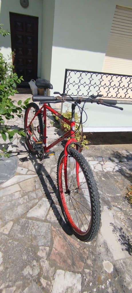 Bicicleta Mountain Bike