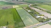 Działka inwestycyjna Czempiń 26300m2