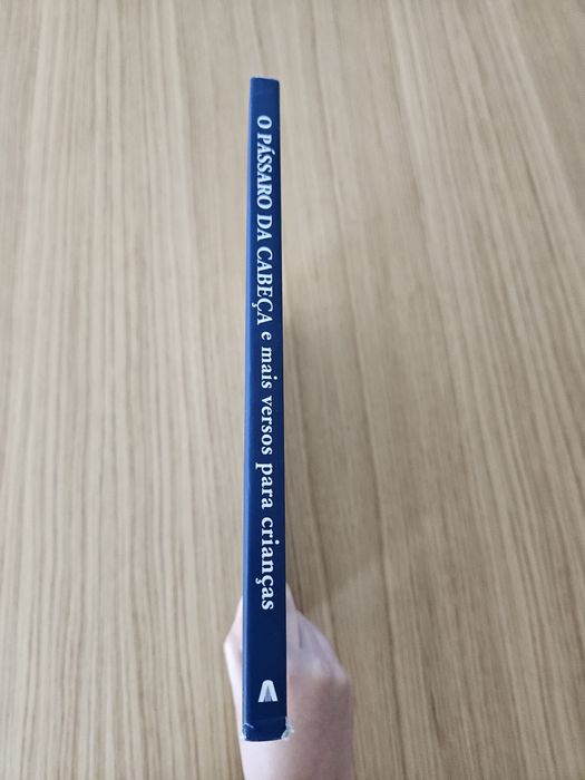 O pássaro da cabeça e mais versos para crianças