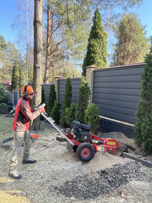 Зріз аварійних дерев! Кронування дерев|Видалення дерев|Корчування пнів