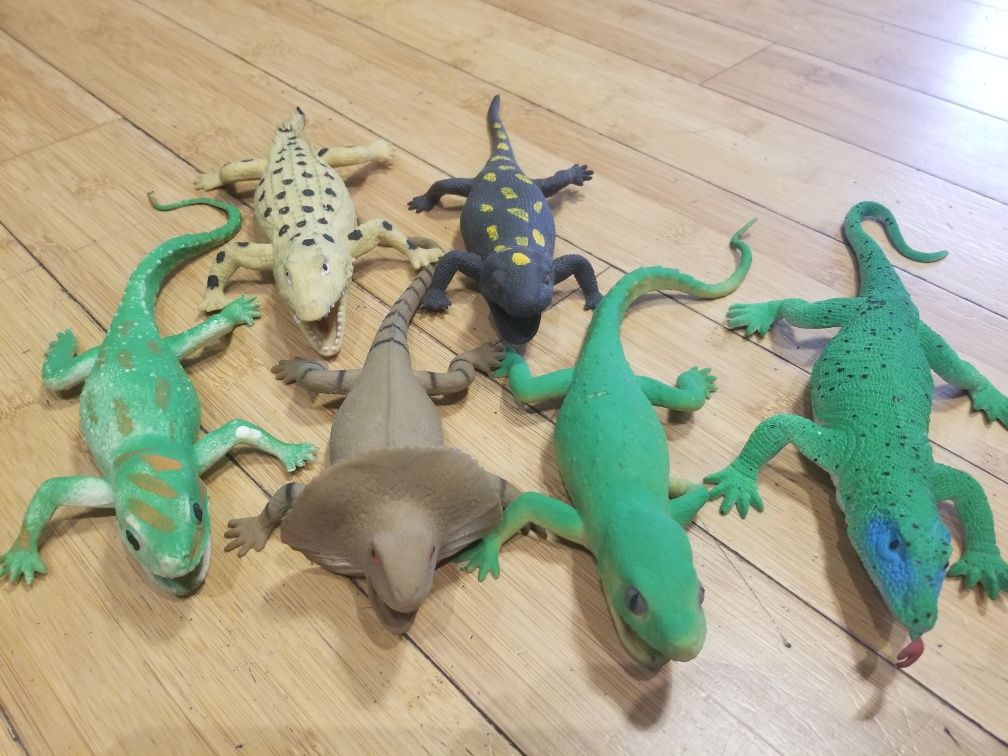 5 jaszczurek i krokodyl