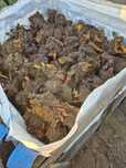 Karpy rabarbaru malinowego