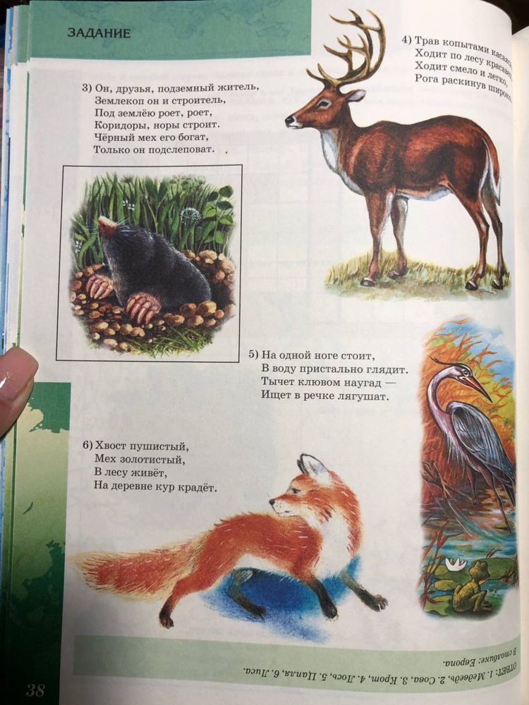 Путешествие по глобусу, кроссворды, лабиринты, загадки книга
