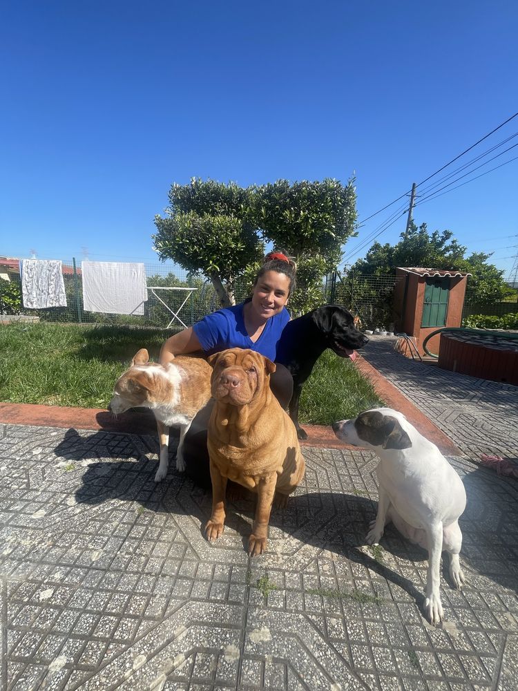 Pet Sitting em ambiente Familiar | Seu Pet com amor e liberdade