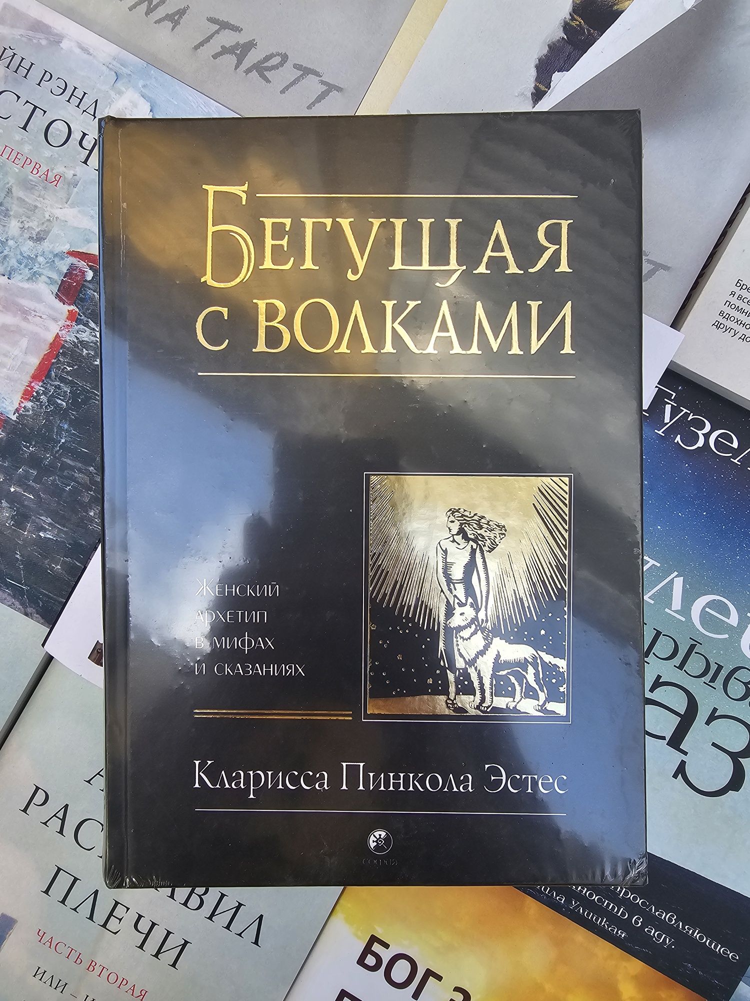 Книги Дом в котором/Петросян/Бегущая с волками/Маленькая жизнь/Щегол