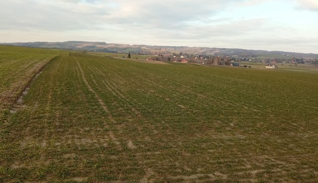 Działka rolna z pięknym widokiem oddalona 11 km od granicy Rzeszowa
