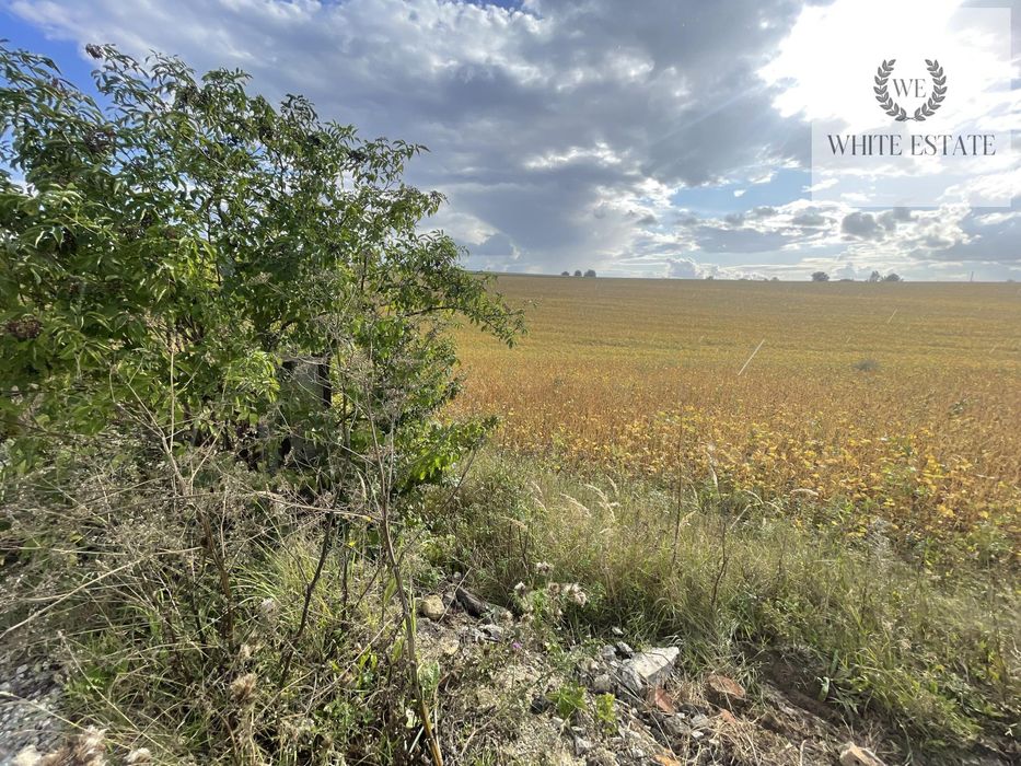 Продаж земельної ділянки с. Підгородне