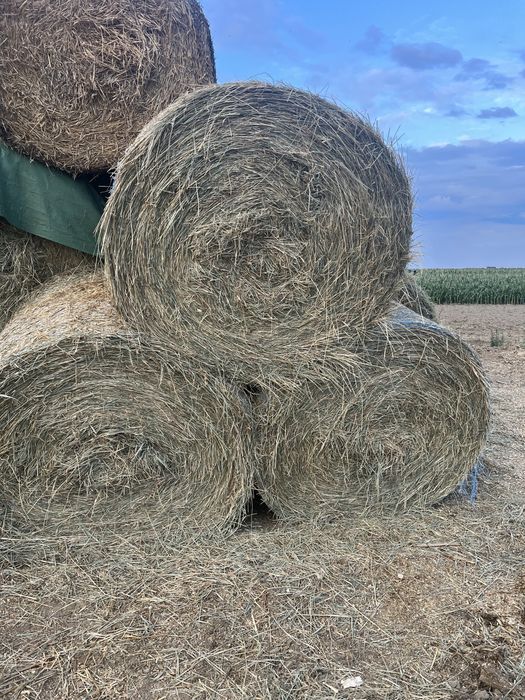 Siano / słoma siano