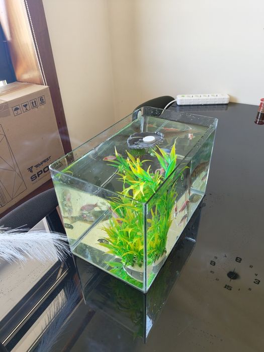 Aquario 20 litros