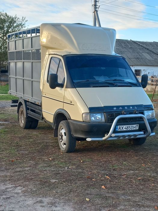 Перевозка Животных ВРХ