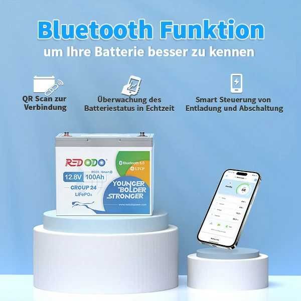 Акумулятор LiFePO4 літій залізо фосфатний 12V 100A Bluetooth Німеччина