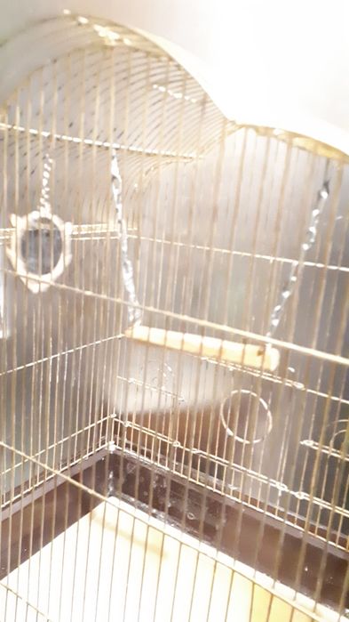 Клітка для папуги, птаха 43×48(h)×28 см