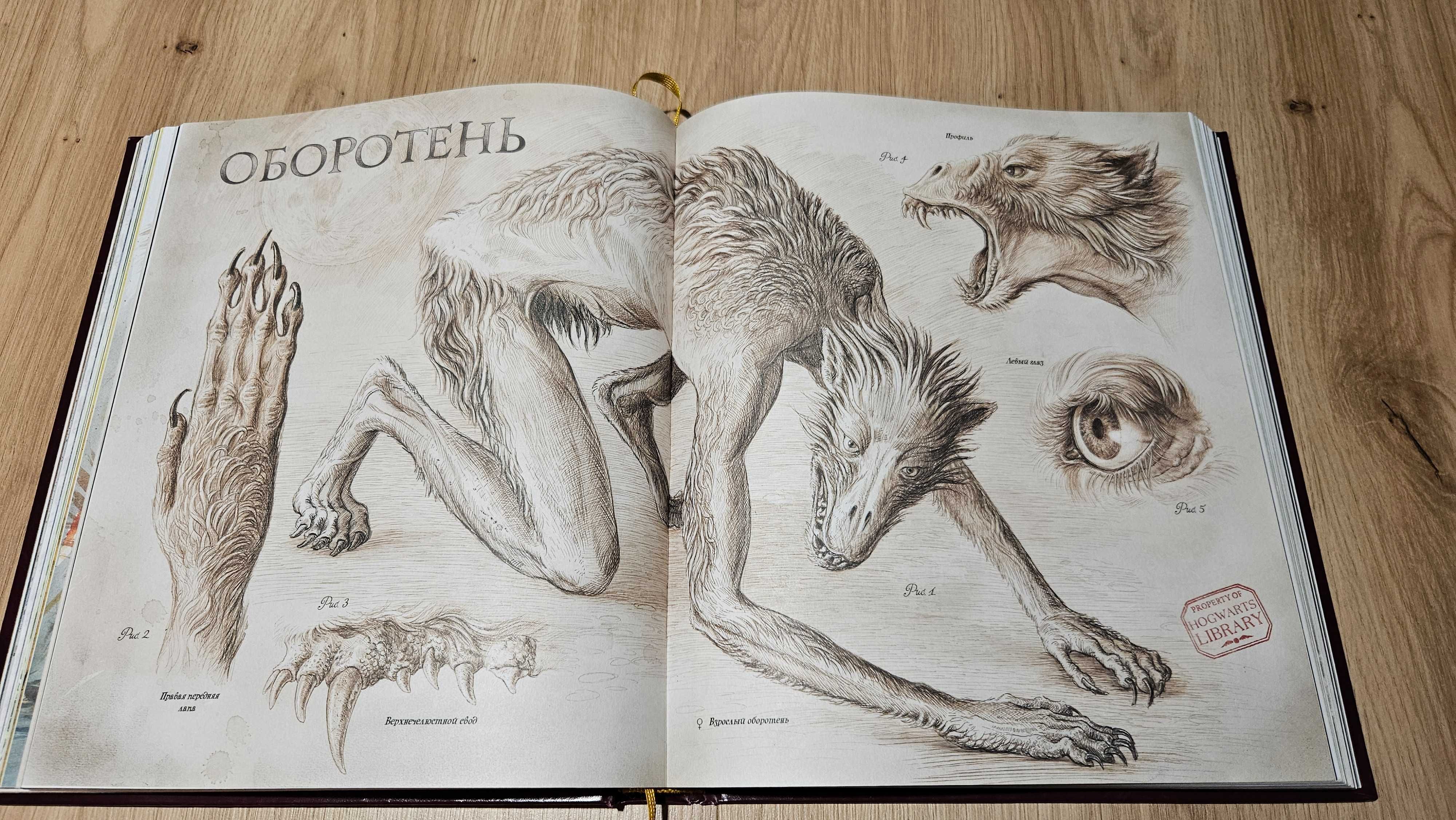 Harry Potter i więzień Azkabanu: ilustrowane wydanie (rosyjski)