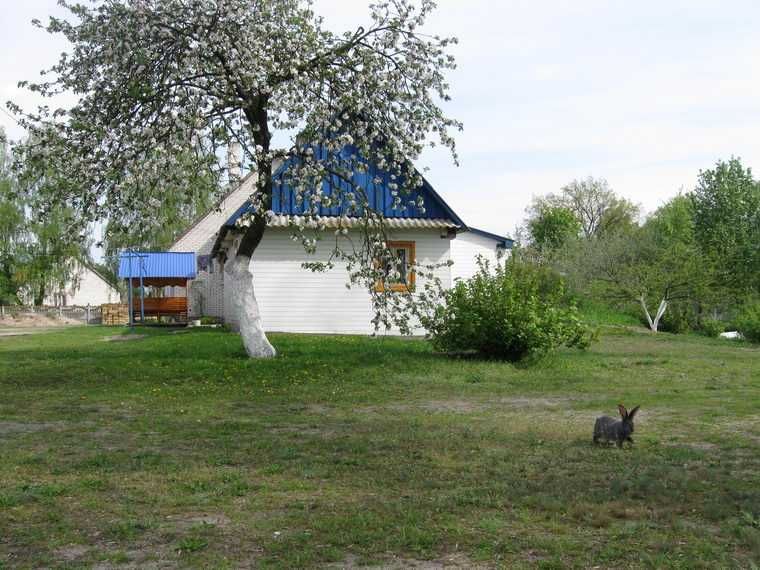 Відпочинок на озері Луки, будинок відпочинку, чиста вода, 50м пляж