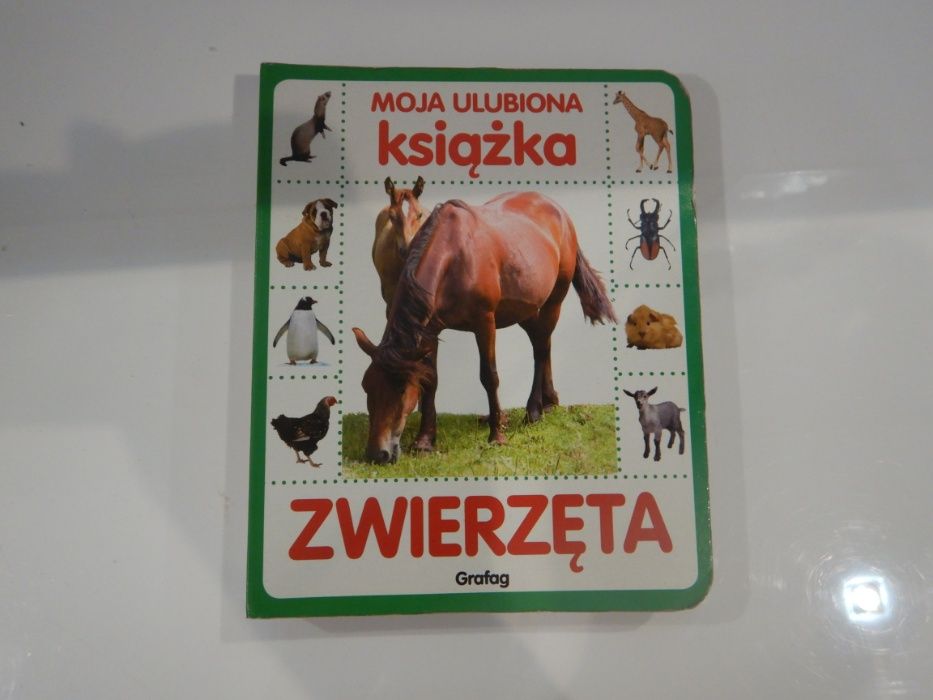 książeczka - zwierzęta