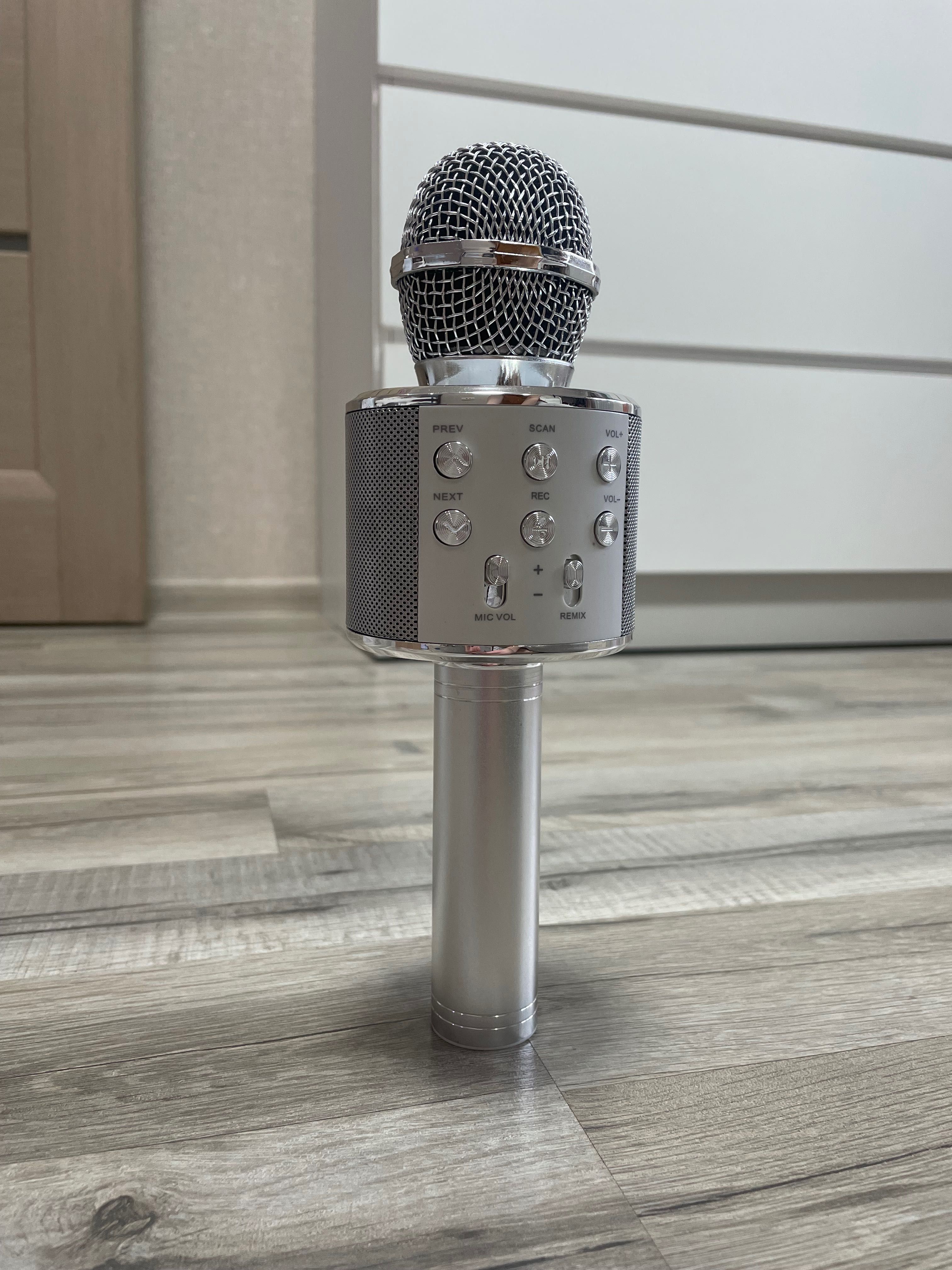 Мікрофон срібний