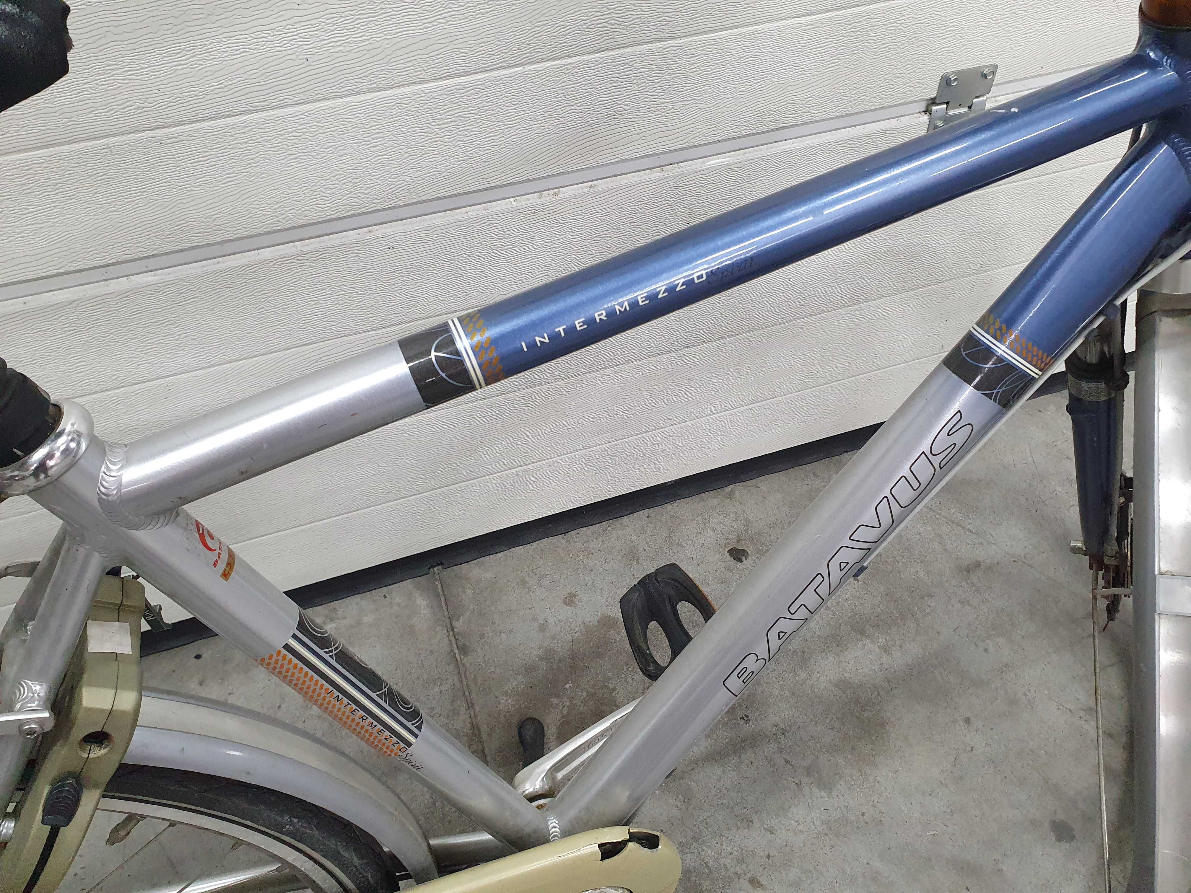 Rower Batavus Intermezzo Sprint