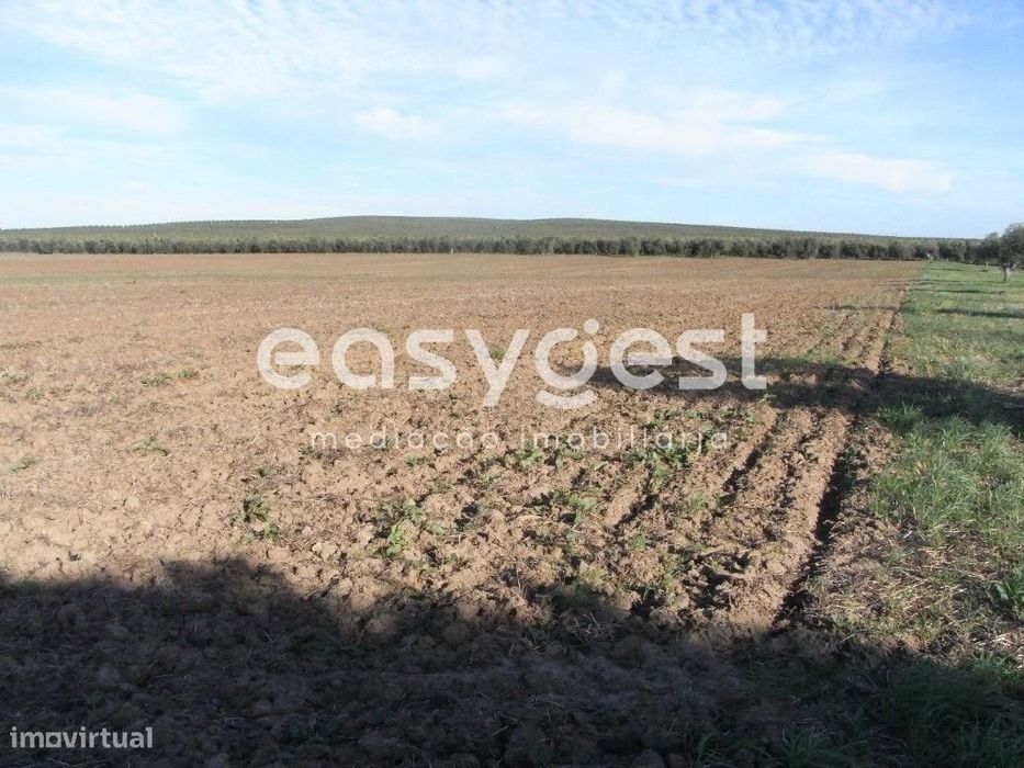Monte com 10ha em Gasparões- Ferreira do Alentejo