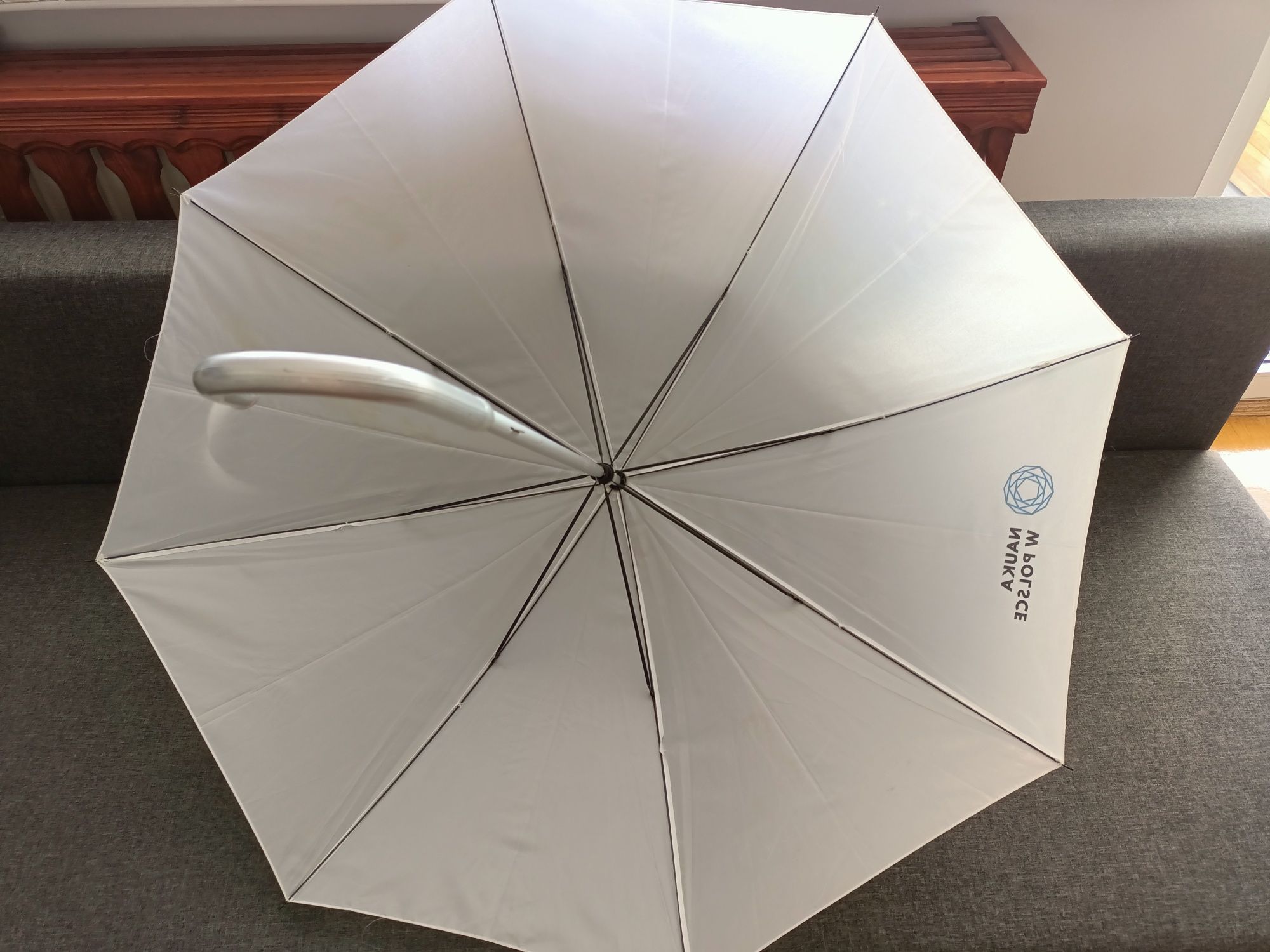 Parasolka parasolka