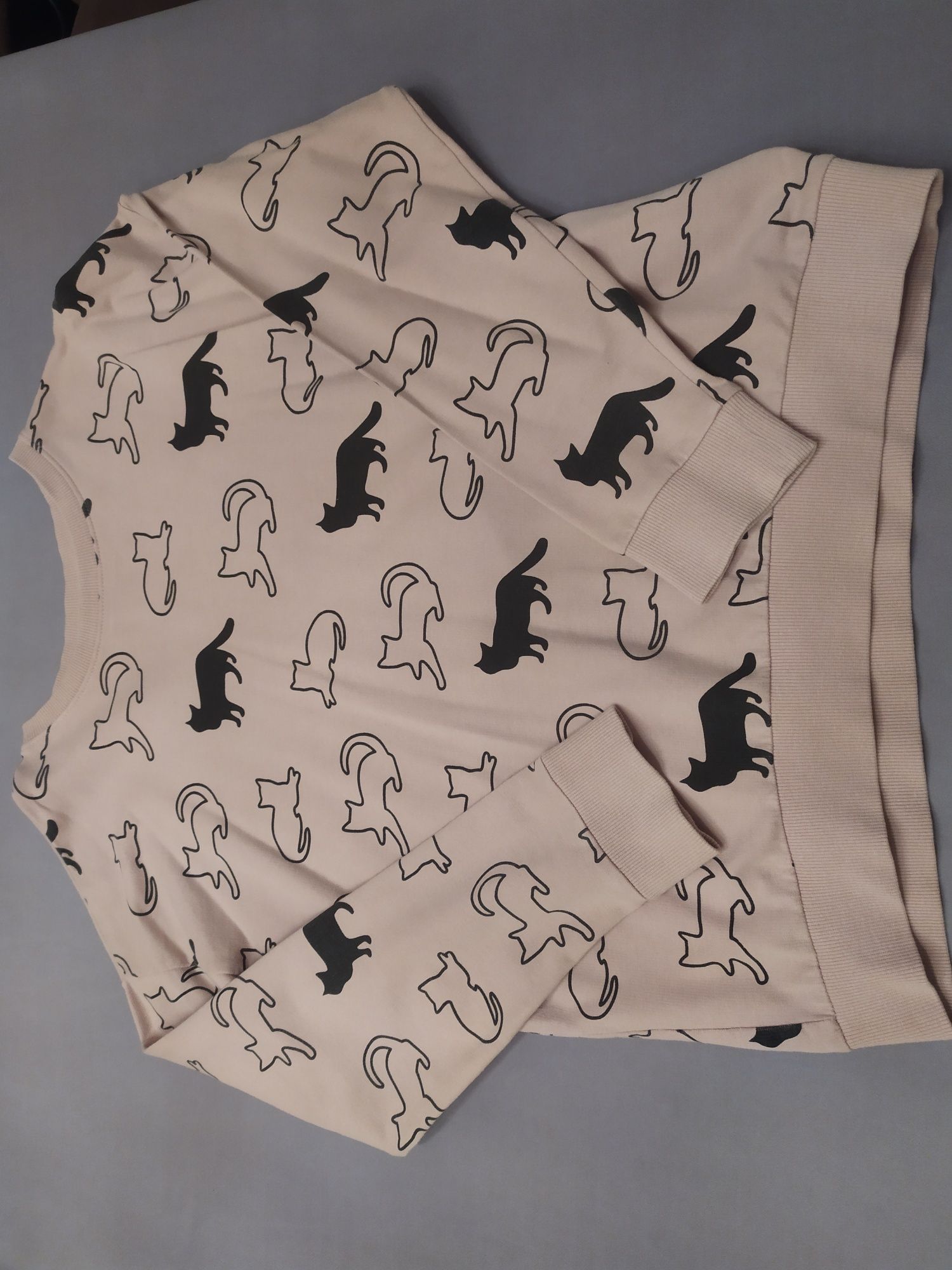 Bluza Sinsay w kotki