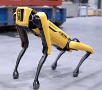 Робот -собака средняя Python